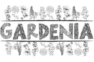 Gardenia LF: A Hand-Drawn Font for Editorial Design