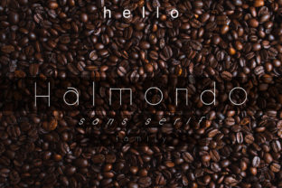 Halmondo: A Versatile Sans Serif Typeface for Modern Web Design