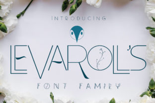 Leva Rolls: A Delicate Sans Serif Font for Campaigns