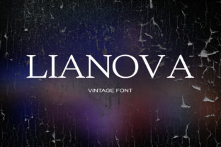 Lianova Serif Review: A Designer’s Perspective