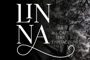 Linna: A Serif Typeface for Editorial Clarity