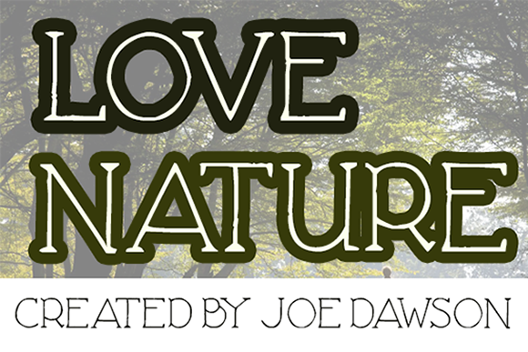 Love Nature: A Serif Font for Organic Campaigns