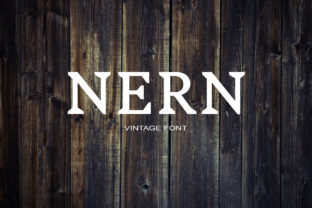 Nern: A Serif Font for Editorial Clarity