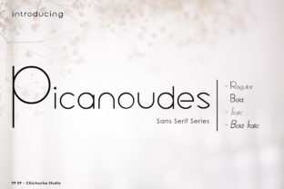 Picanoudes: The Sans Serif Typeface for Bold Marketing